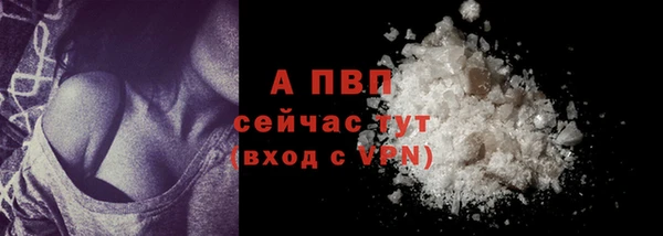 тгк Магадан