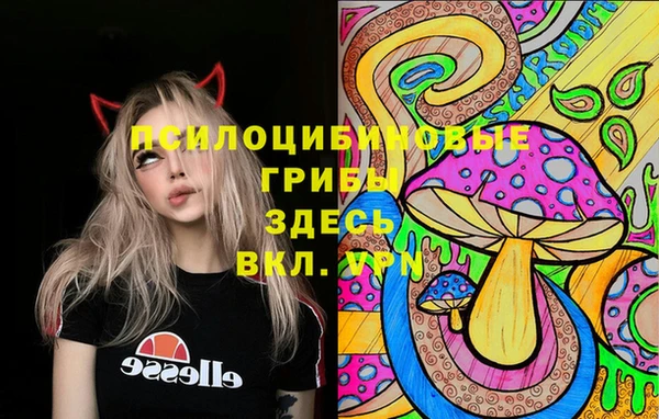 тгк Магадан
