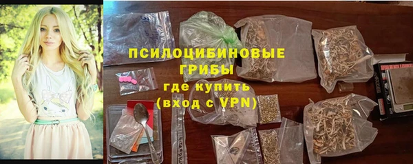 бошки Медногорск