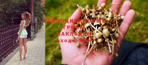 спайс Магас