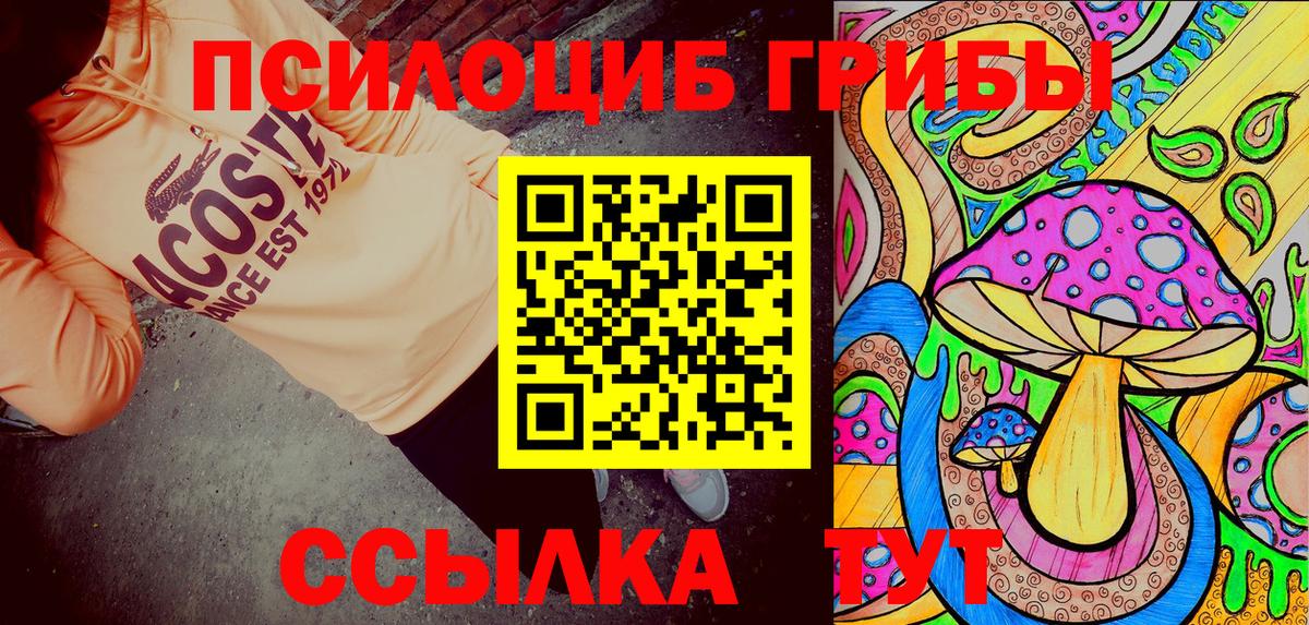 закладка  Салават  Галлюциногенные грибы MAGIC MUSHROOMS 