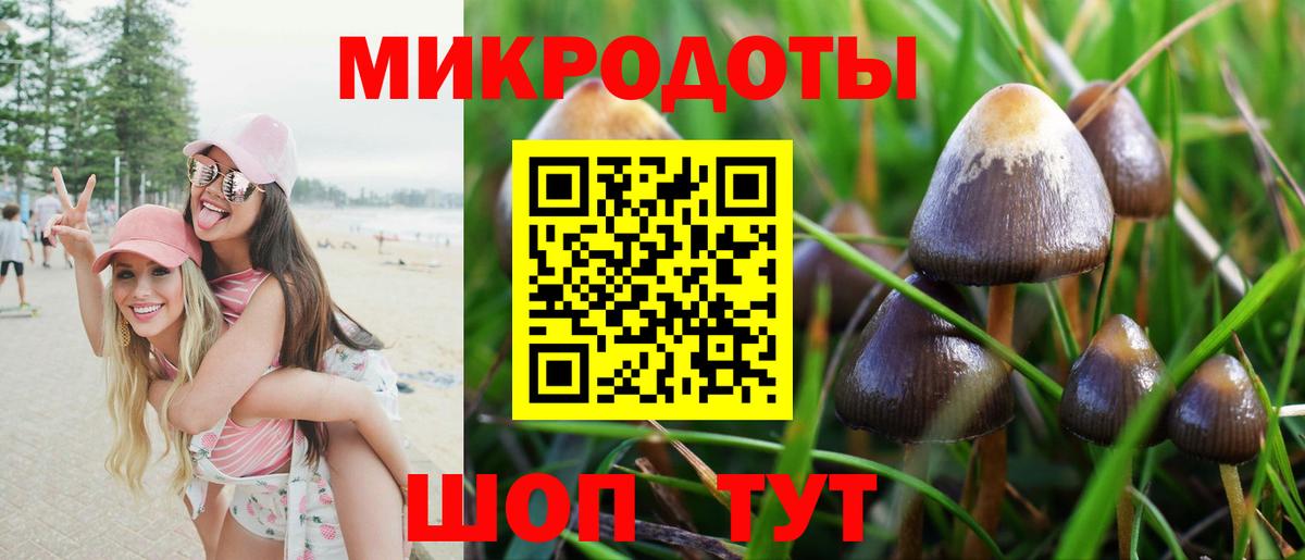 Галлюциногенные грибы Magic Shrooms  купить   Салават  Вход с VPN 