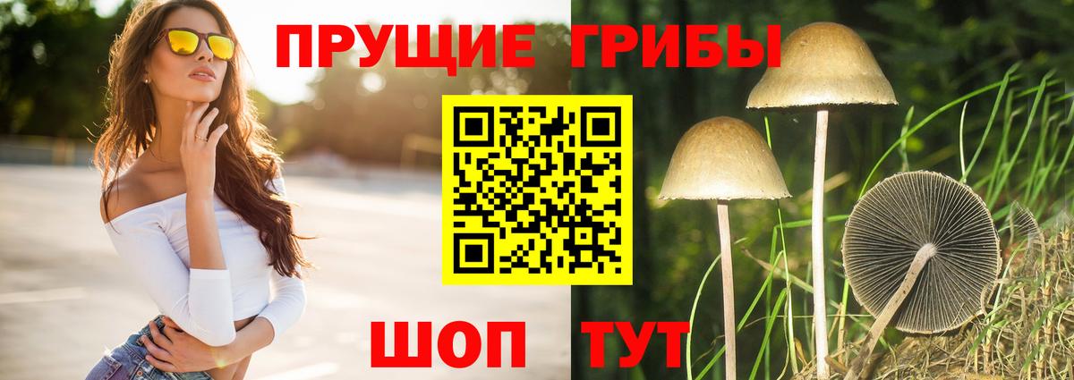Hash Oil  Канабис  Альфа-ПВП  Хэш  Вход с VPN  COCAIN  НБОМе  Салават  МДМА  Меф  Перец 