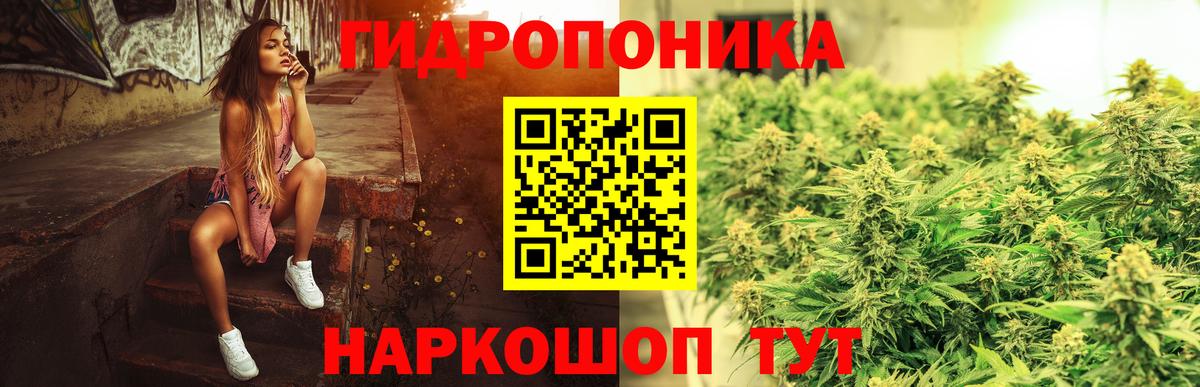 Каннабис конопля Салават
